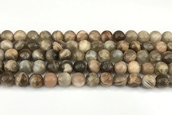 CMS2088 15 inches 10mm round moonstone gemstone beads