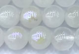 CMS2101 15 inches 8mm round AB-color moonstone beads
