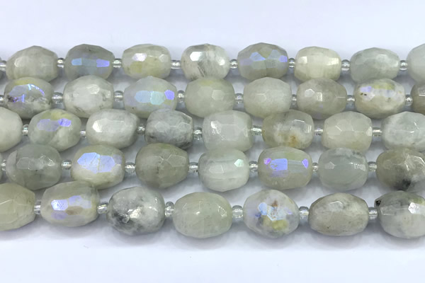 CMS2131 15 inches 10*14mm - 12*16mm faceted nuggets AB-color moonstone beads