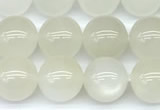 CMS2156 15 inches 10mm round white moonstone beads