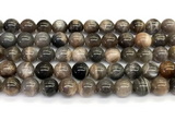 CMS2289 15 inches 10mm round grey moonstone beads wholesale