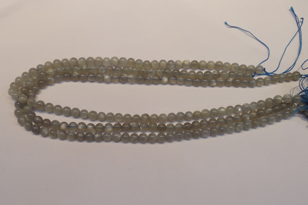 CMS300 15.5 inches 5mm round natural grey moonstone beads wholesale