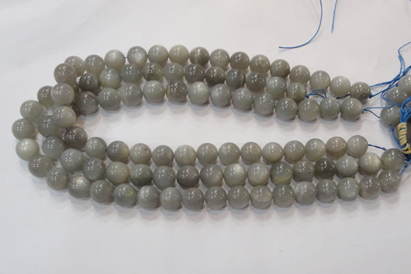 CMS305 15.5 inches 10mm round natural grey moonstone beads wholesale