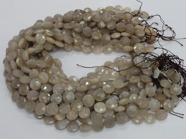 CMS44 15.5 inches 10mm faceted coin moonstone gemstone beads