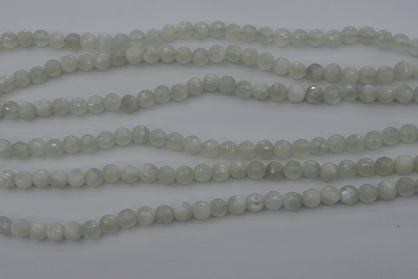 CMS452 15.5 inches 6mm faceted round white moonstone gemstone beads