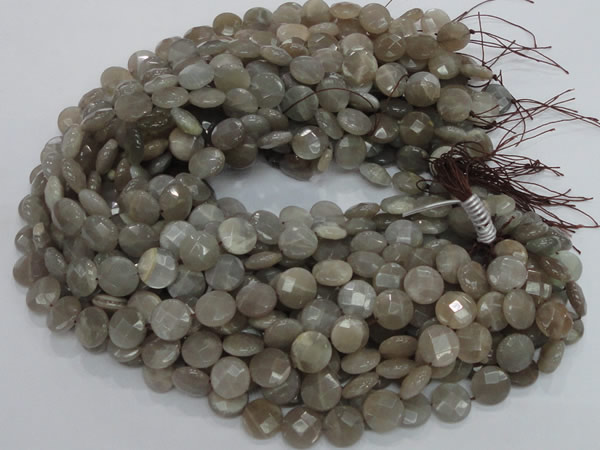 CMS46 15.5 inches 14mm faceted coin moonstone gemstone beads