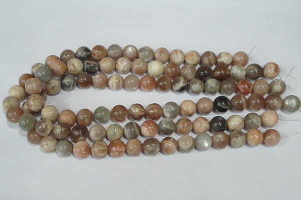 CMS505 15.5 inches 12mm round moonstone beads wholesale