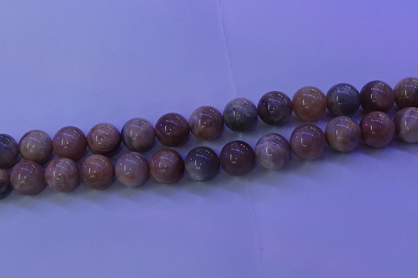 CMS506 15.5 inches 14mm round moonstone beads wholesale