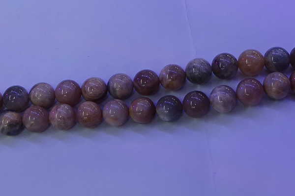 CMS507 15.5 inches 16mm round moonstone beads wholesale