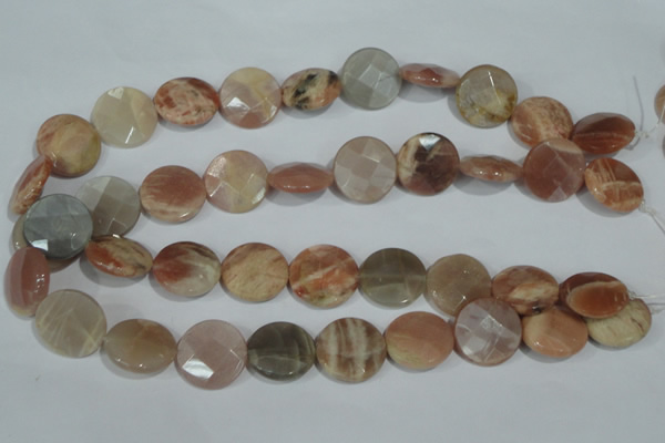CMS558 15.5 inches 20mm faceted coin moonstone beads wholesale