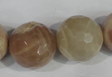 CMS578 15.5 inches 22mm faceted round moonstone beads wholesale