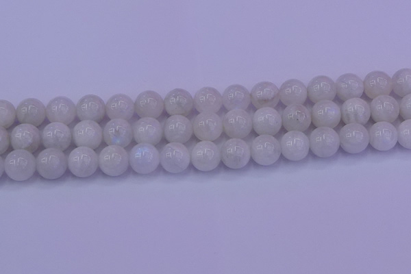 CMS644 15.5 inches 12mm round white moonstone beads wholesale