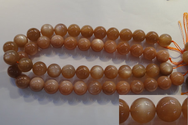 CMS736 15.5 inches 16mm round A grade natural peach moonstone beads