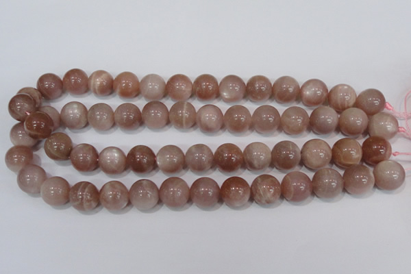 CMS756 15.5 inches 14mm round natural moonstone beads wholesale