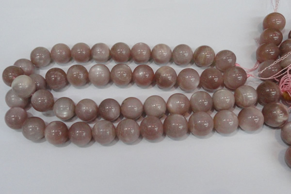 CMS759 15.5 inches 17mm round natural moonstone beads wholesale