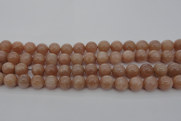 CMS934 15.5 inches 12mm round A grade moonstone gemstone beads