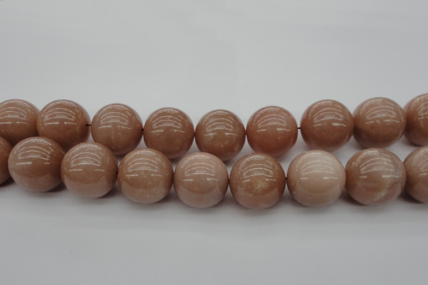 CMS938 15.5 inches 20mm round A grade moonstone gemstone beads