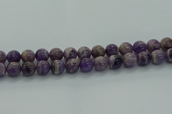 CNA1005 15.5 inches 14mm round dogtooth amethyst beads wholesale