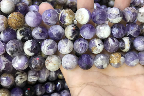 CNA1091 15.5 inches 14mm faceted round dogtooth amethyst beads