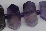 CNG1394 15.5 inches 15*25mm - 20*40mm wand agate gemstone beads