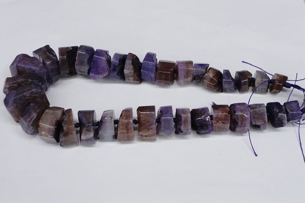 CNG1484 15.5 inches 10*15mm - 12*25mm nuggets agate gemstone beads