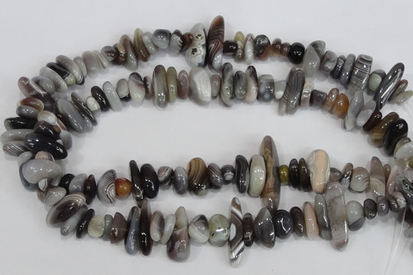 CNG316 15.5 inches 3*6mm - 5*22mm nuggets botswana agate beads