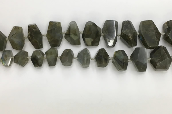 CNG3590 10*16mm - 15*30mm faceted nuggets labradorite beads