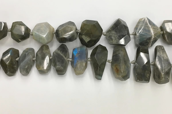 CNG3591 15*25mm - 25*35mm faceted nuggets labradorite beads