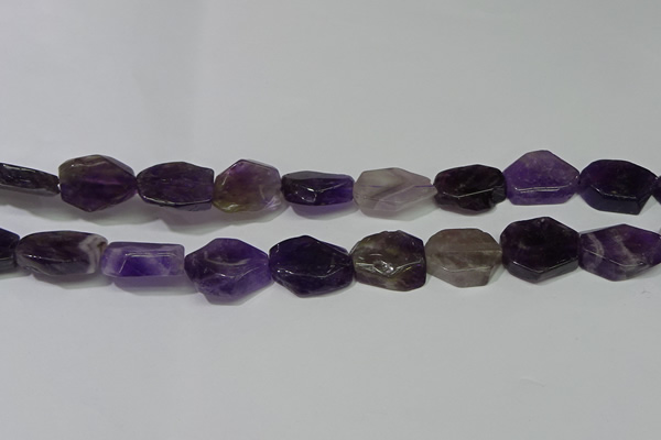 CNG5104 15.5 inches 14*20mm - 18*25mm freeform amethyst beads