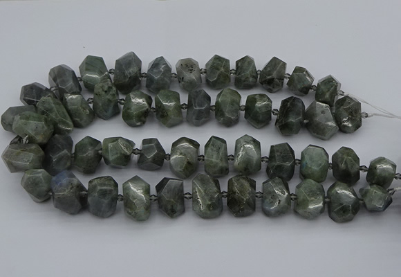 CNG5221 15.5 inches 12*16mm - 15*20mm faceted nuggets labradorite beads