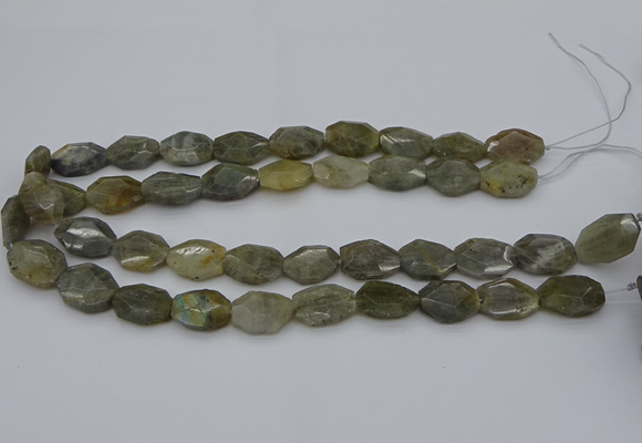 CNG5253 15.5 inches 13*18mm - 15*20mm faceted freeform labradorite beads