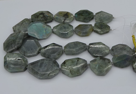 CNG5254 15.5 inches 22*30mm - 35*45mm faceted freeform labradorite beads