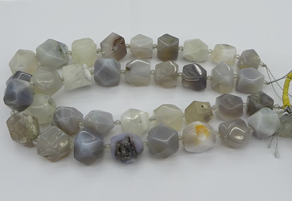 CNG5391 15.5 inches 10*14mm - 20*25mm faceted nuggets agate beads