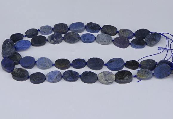 CNG5564 15.5 inches 12*16mm - 18*22mm freeform blue dumortierite beads
