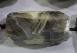 CNG568 20*30mm - 25*40mm faceted nuggets botswana agate beads