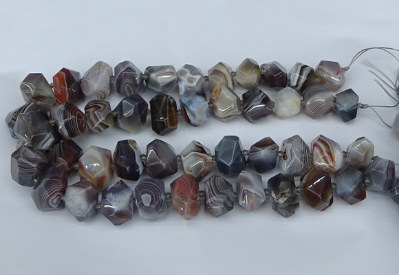 CNG5680 12*16mm - 15*20mm faceted nuggets botswana agate beads