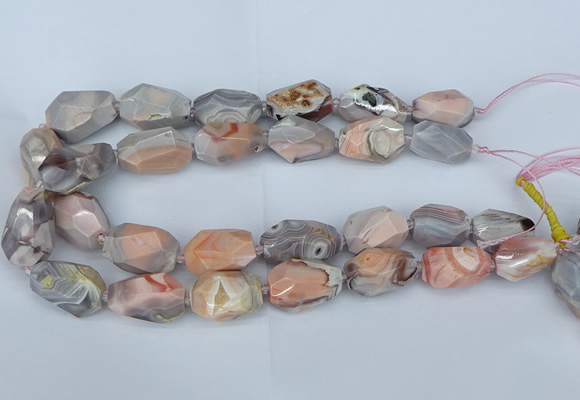 CNG5683 12*16mm - 18*25mm faceted nuggets pink botswana agate beads
