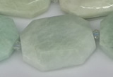 CNG5691 15.5 inches 20*30mm - 35*45mm faceted freeform amazonite beads
