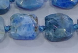 CNG5786 15.5 inches 10*12mm - 10*14mm faceted freeform apatite beads