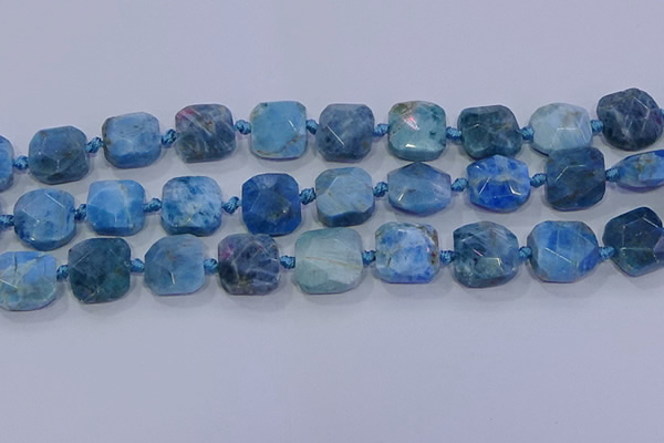 CNG5786 15.5 inches 10*12mm - 10*14mm faceted freeform apatite beads