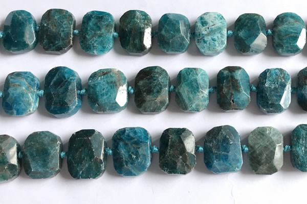 CNG5789 15.5 inches 13*18mm - 15*20mm faceted freeform apatite beads