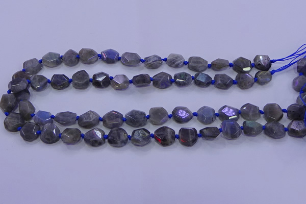 CNG5790 10*12mm - 10*14mm faceted freeform labradorite beads