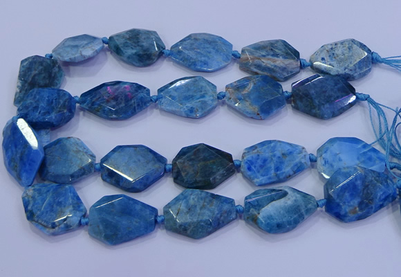 CNG5960 15.5 inches 18*25mm - 25*35mm faceted freeform apatite beads