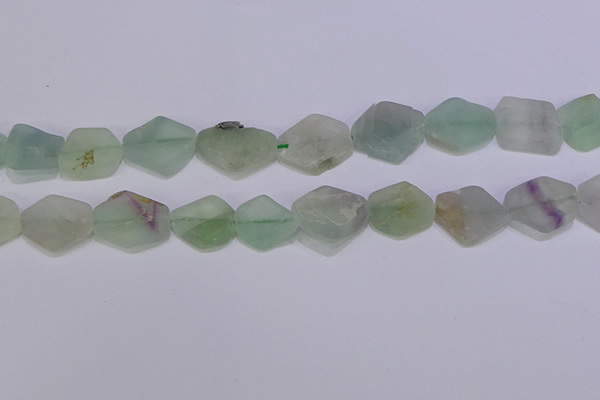CNG6361 15.5 inches 14*18mm - 16*22mm freeform matte fluorite beads