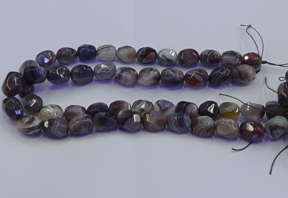 CNG6939 12*16mm - 13*18mm faceted nuggets Botswana agate beads