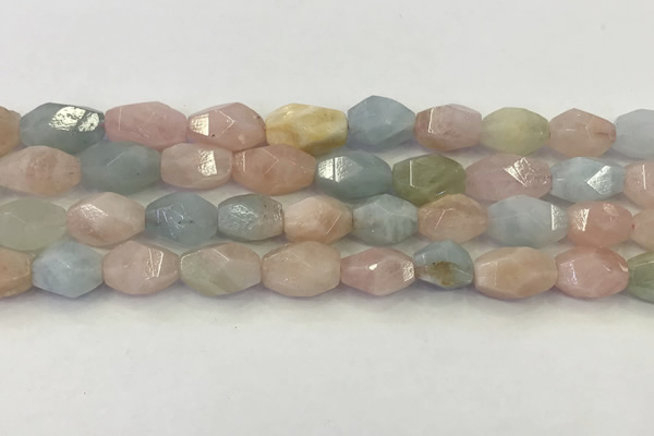 CNG6963 15.5 inches 10*14mm - 12*16mm faceted nuggets morganite beads