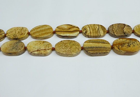 CNG7053 15.5 inches 20*30mm - 22*35mm freeform picture jasper beads
