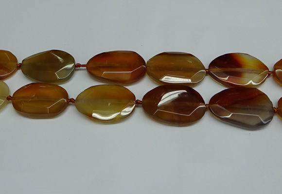 CNG7083 15.5 inches 25*35mm - 35*45mm faceted freeform agate beads