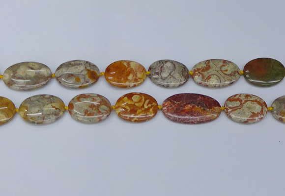 CNG7111 15.5 inches 18*25mm - 20*33mm freeform birdeye rhyolite beads