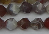 CNG7347 15.5 inches 10mm faceted nuggets botswana agate beads